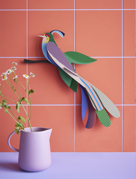 Paradise Bird / Maya