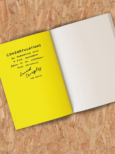DAVID SHRIGLEY - BE AN ARTIST SKETCHBOOK
