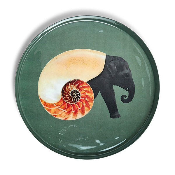 Round Tray - Shellephant