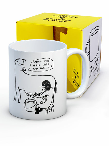 DAVID SHRIGLEY - WHAT THE HELL