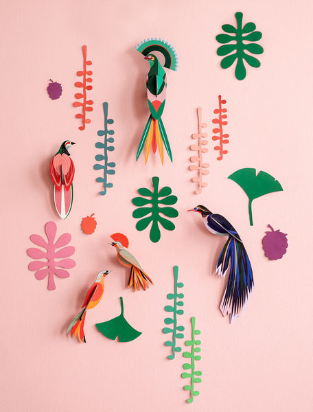 Wall of curiosities, Bird observer