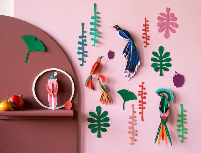 Wall of curiosities, Bird observer