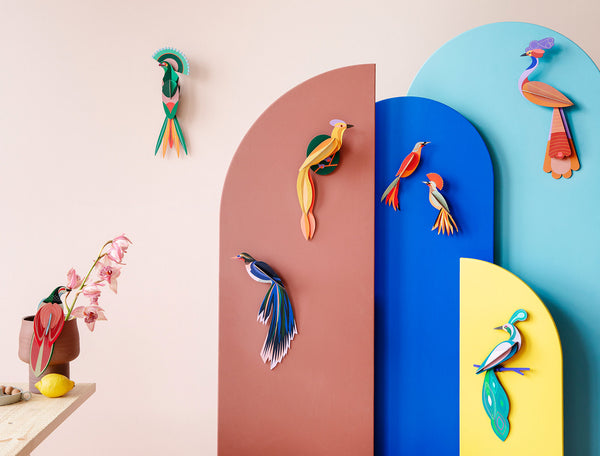 Paradise Bird / Savu