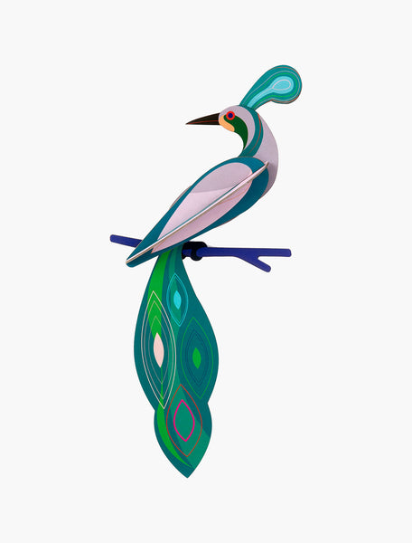Paradise Bird / Fiji