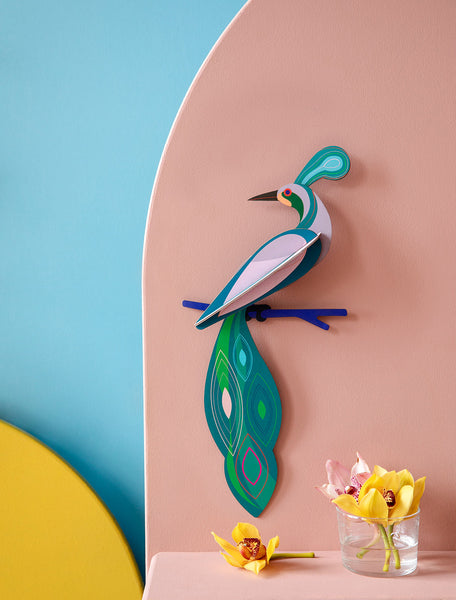 Paradise Bird / Fiji