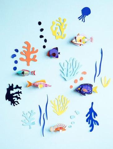 Wall of curiosities,  Fish Hobbyist