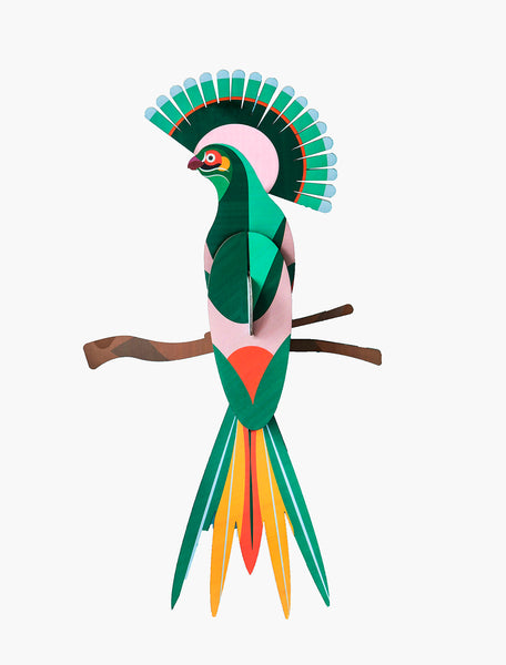 Paradise Bird / Gili