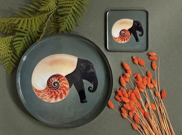Square Trinket Tray - Shellephant