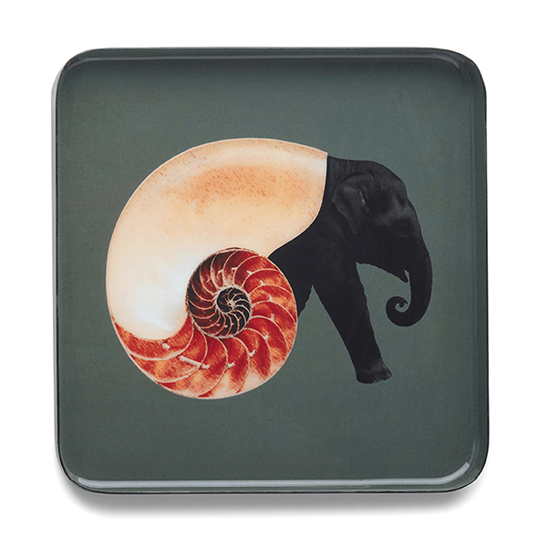 Square Trinket Tray - Shellephant