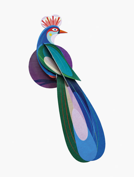 Paradise Bird / Banda