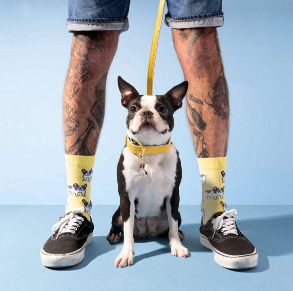 French Bulldog Socks