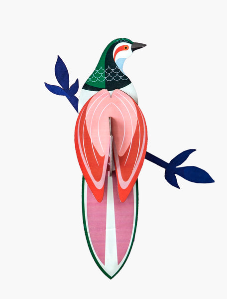 Paradise Birds / Rani