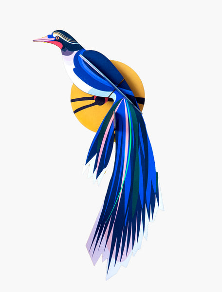 Paradise Bird / Flores