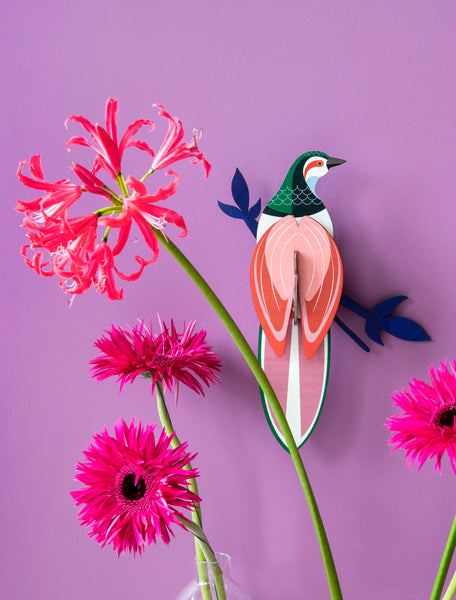 Paradise Birds / Rani