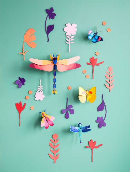 Wall of curiosities,  Insect connoisseur