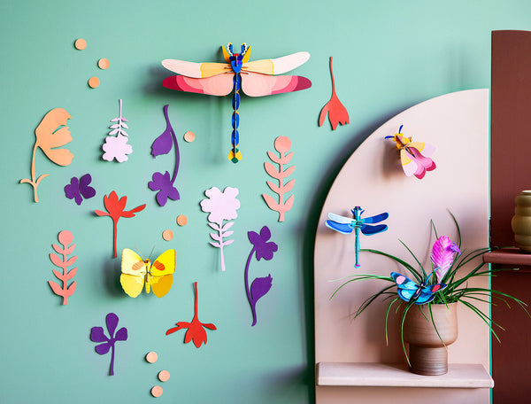 Wall of curiosities,  Insect connoisseur