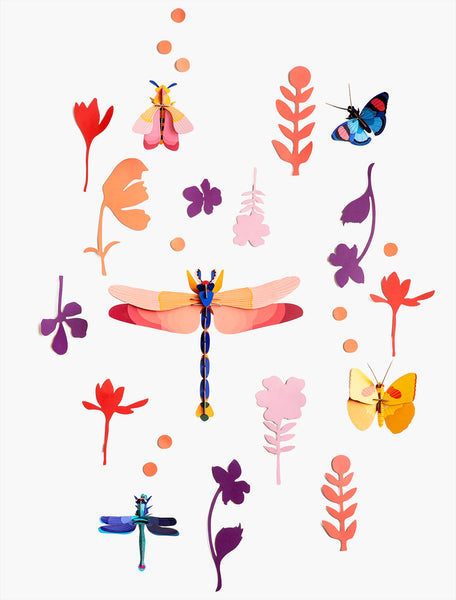 Wall of curiosities,  Insect connoisseur