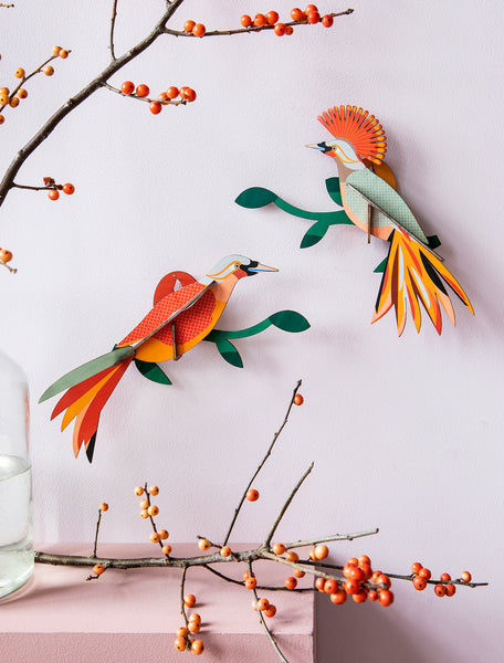 Paradise Birds / Obi