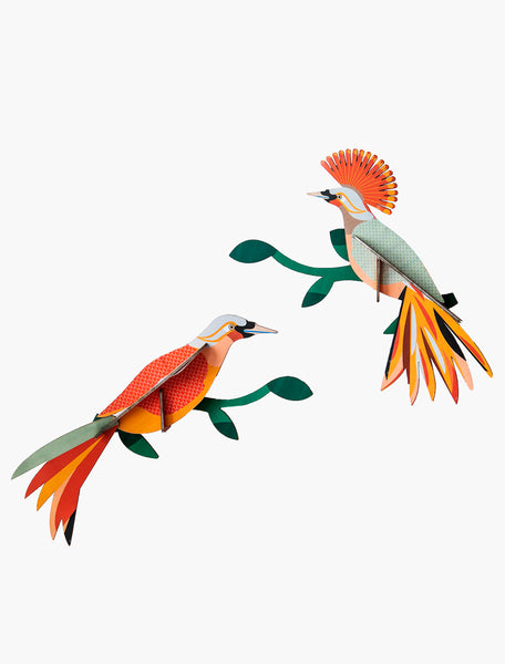 Paradise Birds / Obi