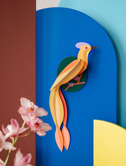 Paradise Bird / Olango