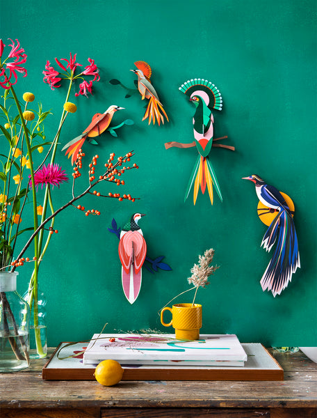 Paradise Bird / Flores