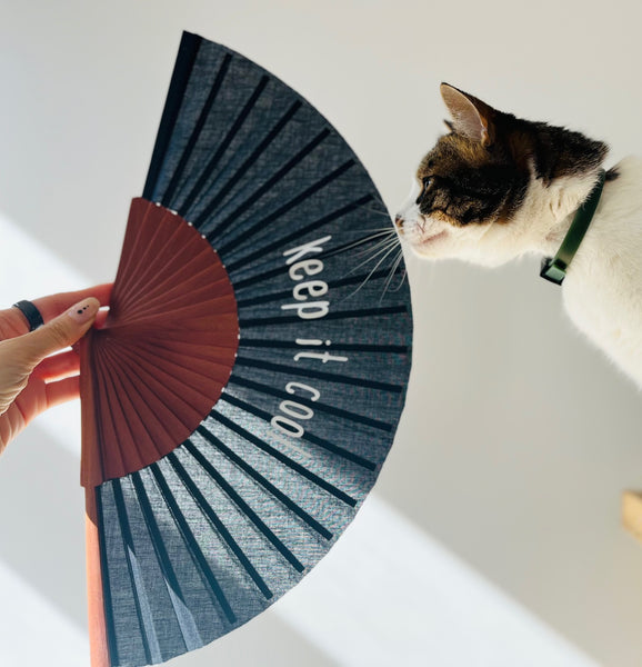Hand Fan - Various designs (11)