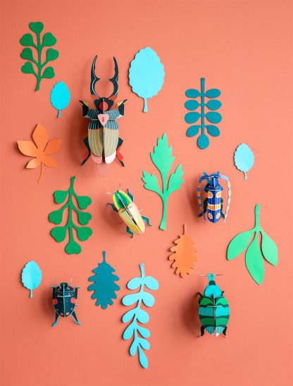 Wall of curiosities,  Beetle antiquary