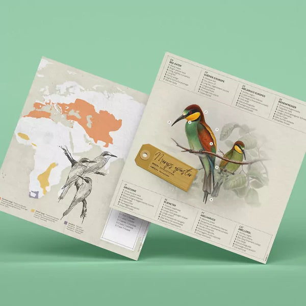 Merops Apiaster Paper Bird