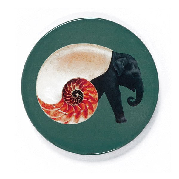 Set of 4 ceramic coasters - Shellephant