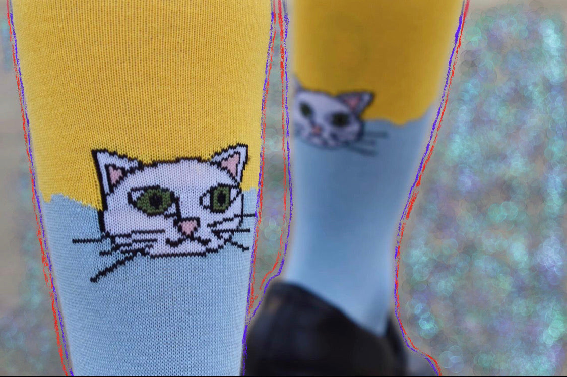 Cat lovers Socks