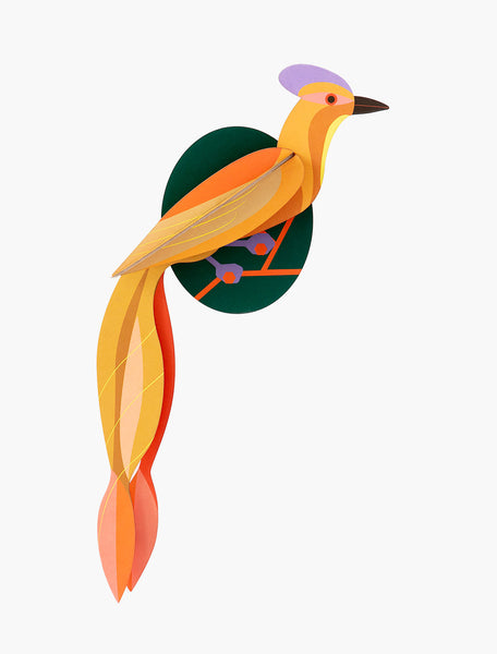 Paradise Bird / Olango